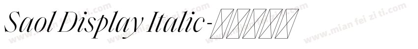 Saol Display Italic字体转换